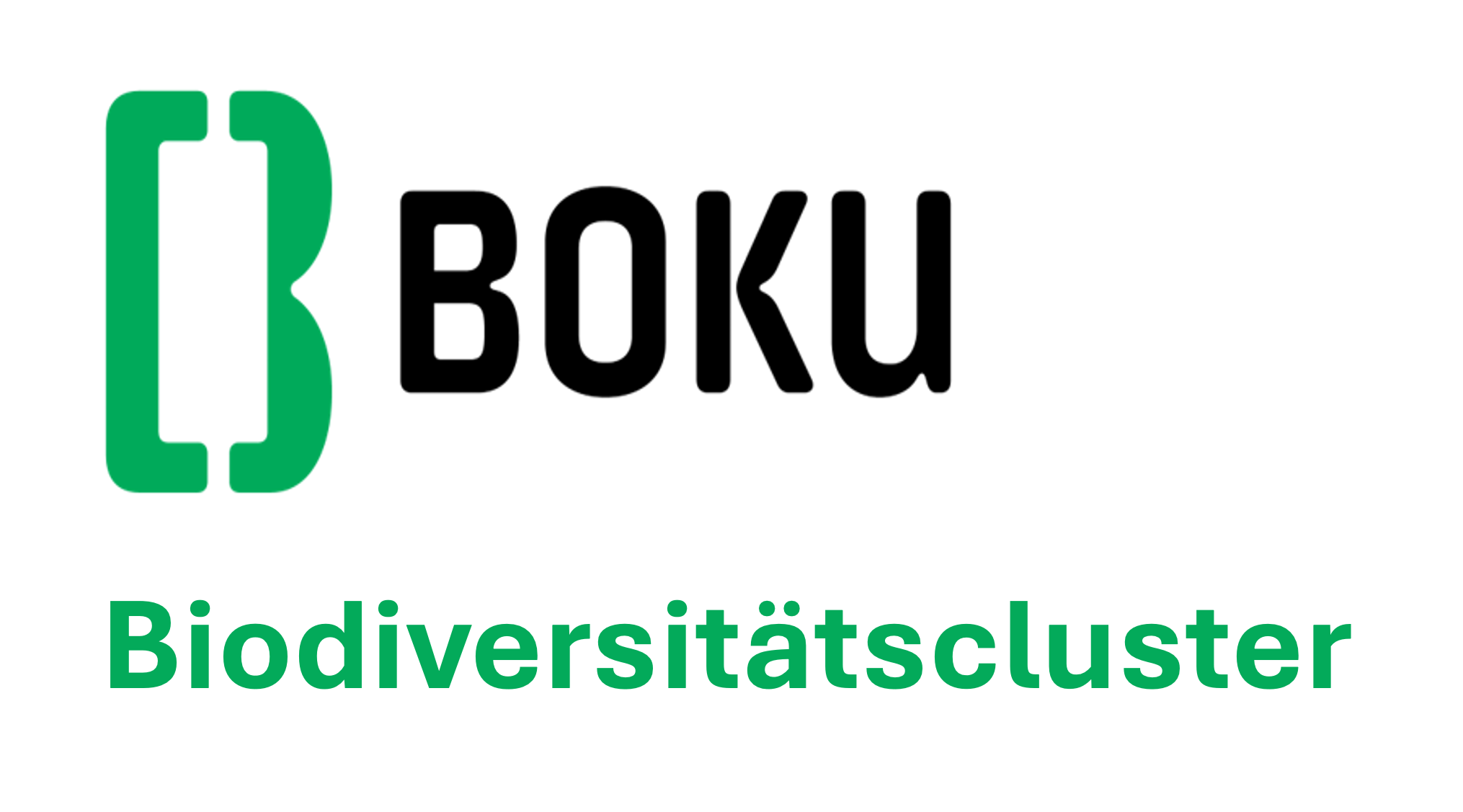 BDC Logo